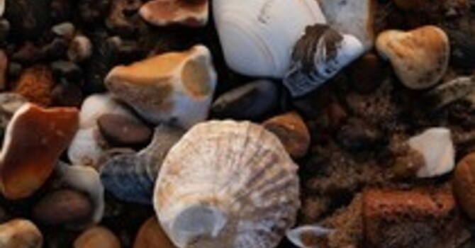 Acupuncture and Functional Medicine